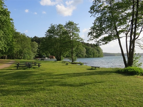 Stechlinsee Strand